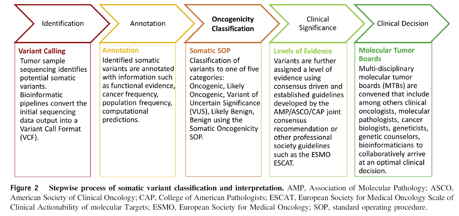 Variant Interpretation Steps